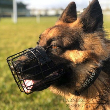 Basket Dog Muzzle Covered by Black Rubber, UK