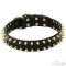 Dog Collar Leather with Brass Spikes in Two Rows, Luxury