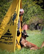 IGP Blind for Dog Training and Professional Sports_2