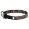 ew Neck Tech Prong Collar with Dog's Behavioral Problems