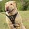 Bestseller! Shar Pei Walking Leather Dog Harness UK