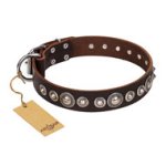Brown Leather Dog Collar "Step and Sparkle" with Studs, Artisan