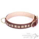 Brown Leather Dog Collar with Brass Studs "Pyramid"