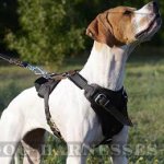 Working Dog Harness for English Pointer, Super Strong Design