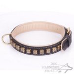 Thick Black Leather Dog Collar with Brass Cubes