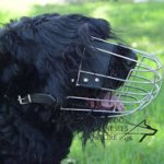 Wire Dog Muzzle for Black Russian Terrier, Good Ventilation