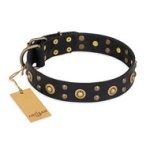 Black Leather Dog Collar Studded, "Cosmic Glow" by FDT Artisan