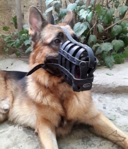 German Shepherd Muzzle Leather Super Ventilated for Daily Use