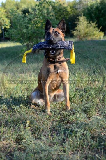 French Linen Bite Tug for German Shepherd and Belgian Malinois