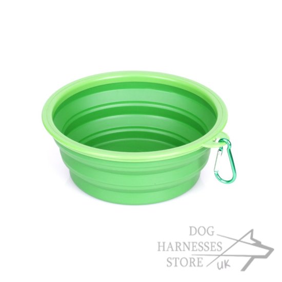 Dog Food and Water Bowl