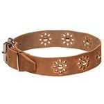Floral Leather Dog Collar Punched Flowers - "Spring Madness"