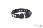 Dog Collar Real Leather "Silver Charm" FDT Artisan_2