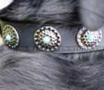 Modern Dog Collar with Blue Stones for Swiss Mountain Dog