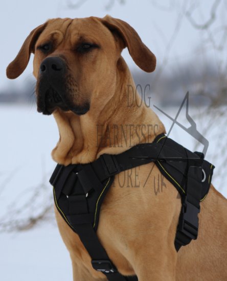 Large Dog Harness UK of Nylon for Dogo Canario, Presa Canario - Click Image to Close