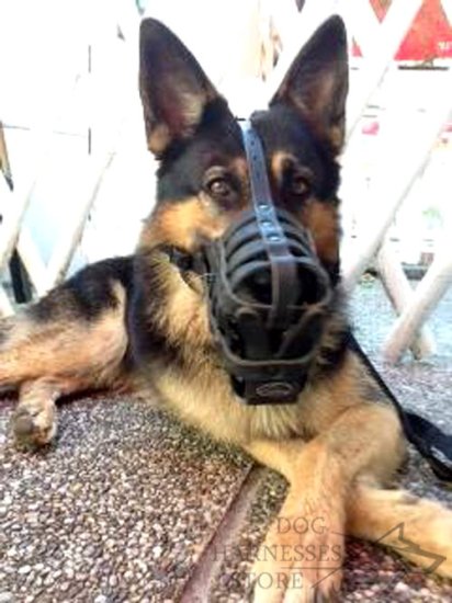 German Shepherd Muzzle Leather Super Ventilated for Daily Use - Click Image to Close