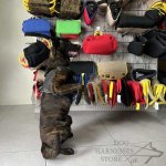 Dog Harness Sport and Training Made of Nylon, Bestseller in UK!_13