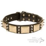 Leather Dog Collar with Nickel Spikes and Large Brass Plates