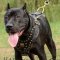 Leather Dog Harness UK for Pitbull, Luxury Studs, Padding