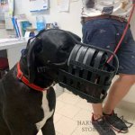 Leather Dog Muzzle for Every Breed, Best for Everyday Use_6