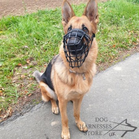 German Shepherd Muzzle Rubber Covered Wire, Best for Winter