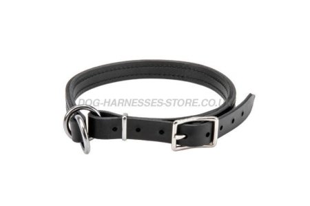 German Shepherd Slip Collar of Leather with Size Regulation