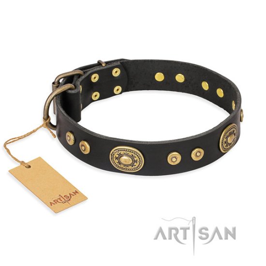 Black Leather Dog Collar "Golden Radiance" by FDT Artisan