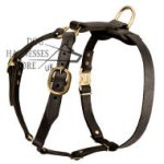 Bestseller! Handcrafted Leather Dog Harness of Luxury Design