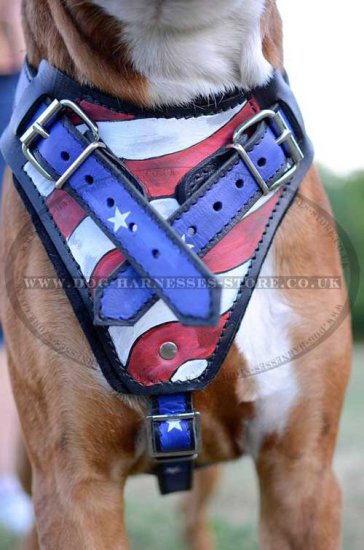 Handmade Dog Harness "American Pride" Style for German Boxer