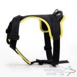 Black Nylon Dog Harness with Soft Padding for Maximum Comfort_1