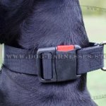 Dog Training Collar UK of Adjustable Nylon Strap with D-ring