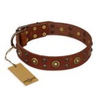 Tan Leather Dog Collar with Studs "Unfailing Charm" FDT Artisan
