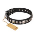 Black Leather Dog Collar "Eternal Beauty" FDT Artisan Design