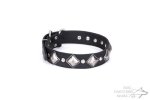 Dog Collar Real Leather "Silver Charm" FDT Artisan_1