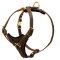 Bestseller! Dog Harness Tracking UK, Leather Outfit for Walks