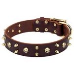 Punk Rock Dog Collar with Goldy Barbs and Spikes, Super Style
