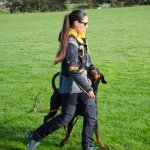 Dog Training Suit for IGP, WUSV Training and Trials_7