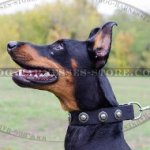 Black Studded Dog Collar with Silver Conchos of Wide Nylon Strap