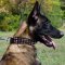 Spiked Leather Dog Collar with Pyramids for Belgian Malinois
