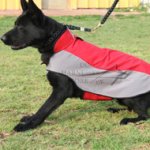 Warm Dog Coat of Waterproof Nylon for German Shepherd