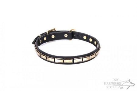 Leather Dog Collar Brass Fittings "Wealth Effulgence" by Artisan
