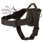 Lightweight Dog Harness for Walking, UK