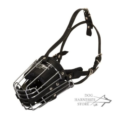 Dog Muzzle for Belgian Malinois Training and Work