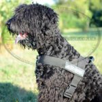 Nylon Dog Harness UK for Black Russian Terrier or Schnauzer!