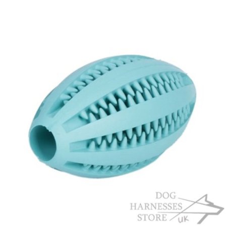 Dog Toy Dental Health "Denta Fun Rugby Ball"