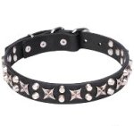 "The Starry Arch" Incredibly Decorated Leather Dog Collar