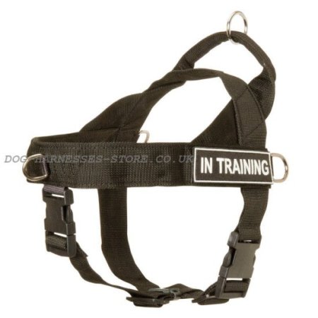 Saint Bernard Dog Harness of Nylon with ID Patches, Bestseller!