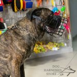 Basket Dog Muzzle Covered by Black Rubber, UK_17