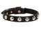 Studded Dog Collar Leather for Little Breeds and Puppies Walking