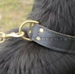 Large Leather Dog Collar for Grown-Up German Shepherd