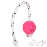 Top-Matic Fun Ball SUPER SOFT for Small Dog and Puppy Training